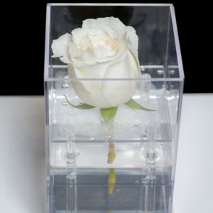 Acrylic single stem rose box
