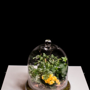 Terrarium garden